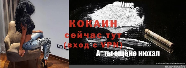 стаф Осташков