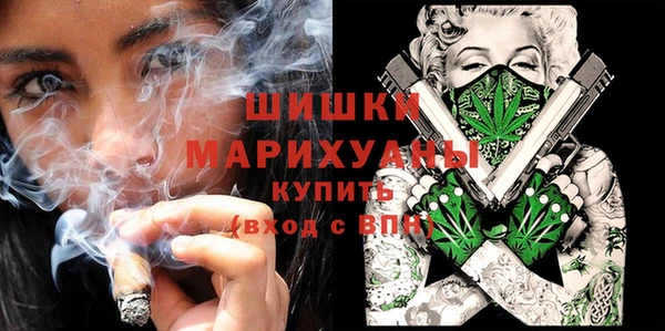круглые Болотное