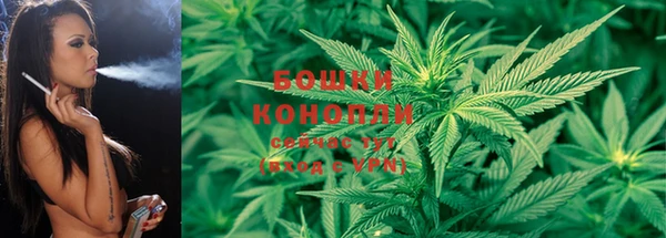 круглые Болотное