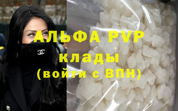 стаф Осташков