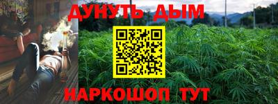 сатива Ачхой-Мартан