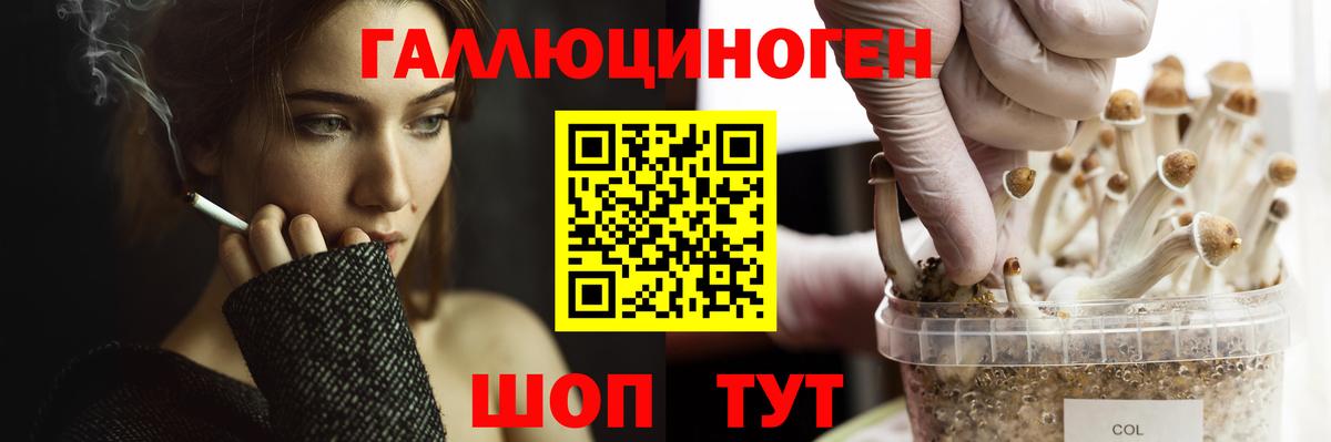 Челябинск  Галлюциногенные грибы мицелий  даркнет сайт  Вход с VPN 
